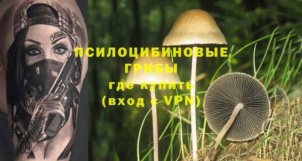 a pvp Верея
