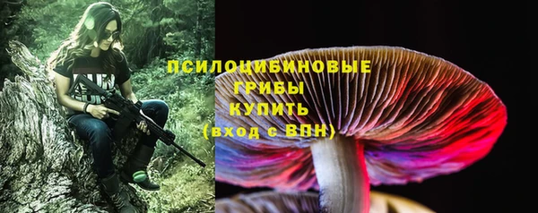 a pvp Верея