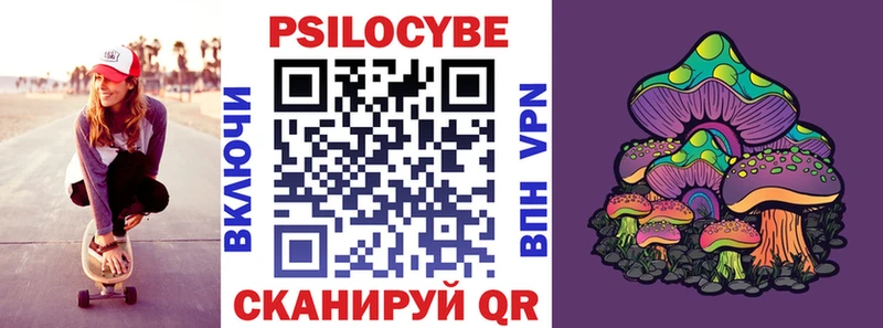 OMG   Вольск  Галлюциногенные грибы Magic Shrooms 